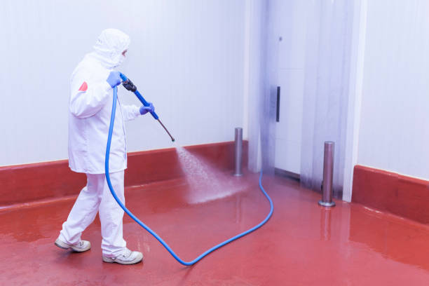 Trusted St Anne, IL Pressure Washing Services Experts